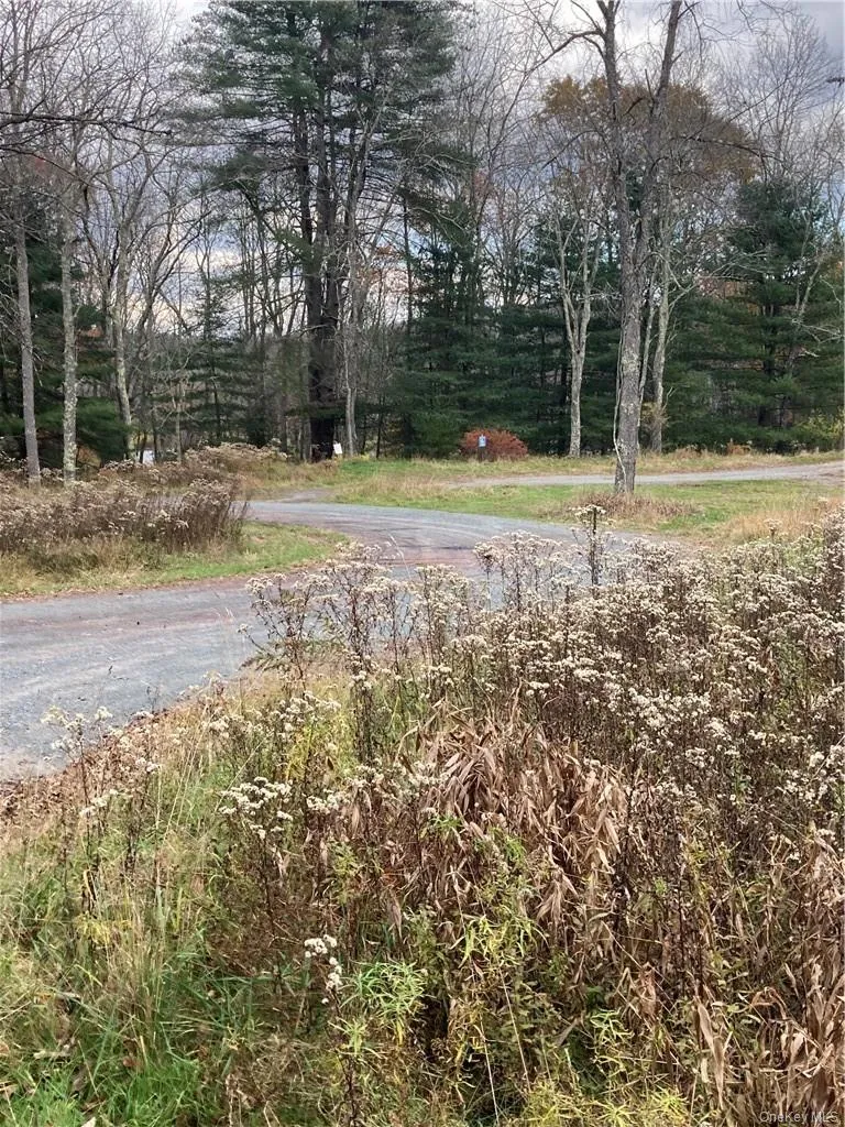140 Plank Road Mongaup Valley, NY 12762