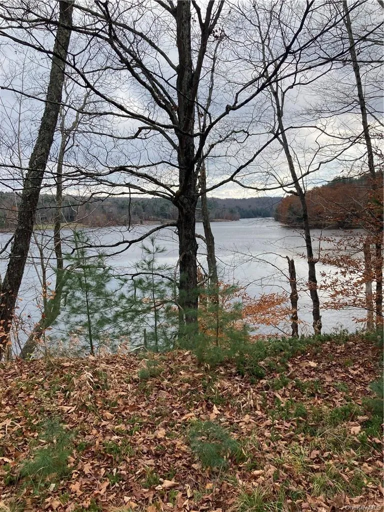 140 Plank Road Mongaup Valley, NY 12762