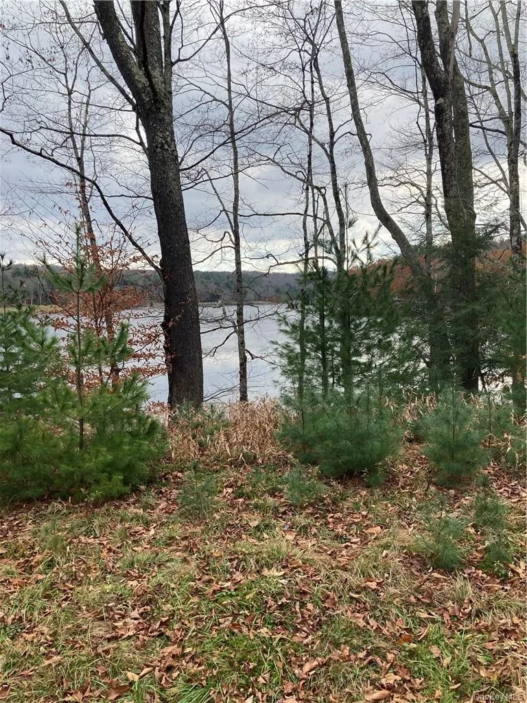 140 Plank Road Mongaup Valley, NY 12762
