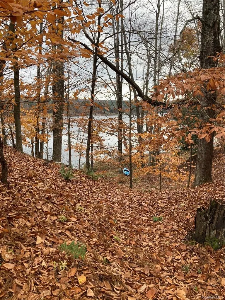140 Plank Road Mongaup Valley, NY 12762