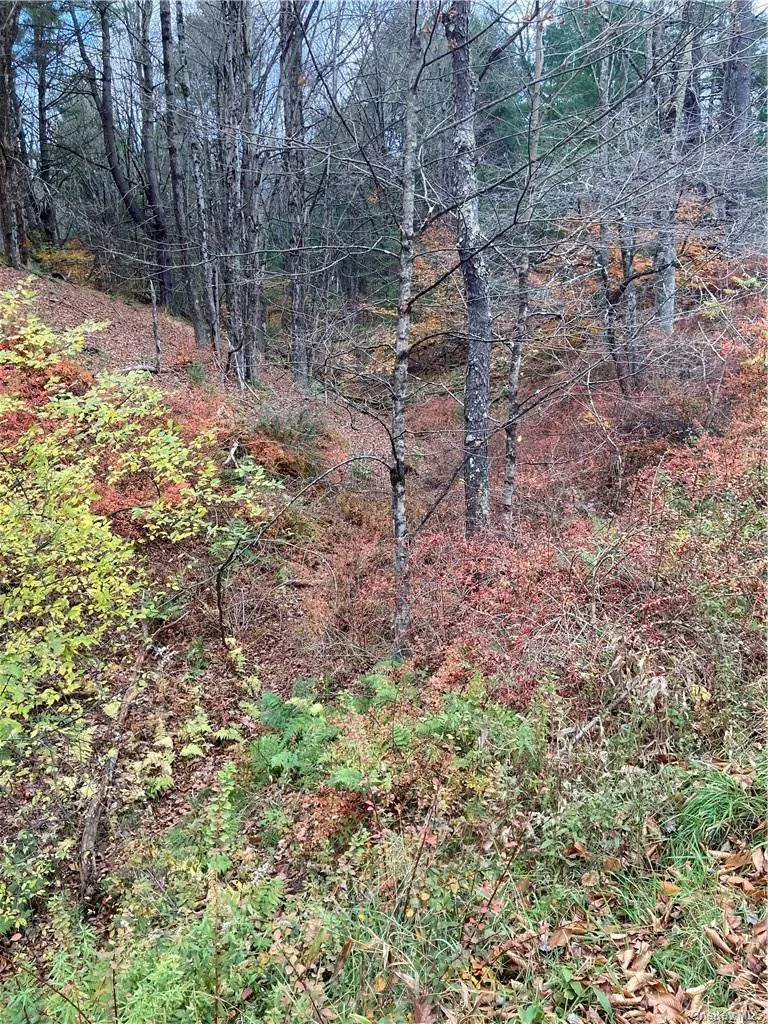 140 Plank Road Mongaup Valley, NY 12762