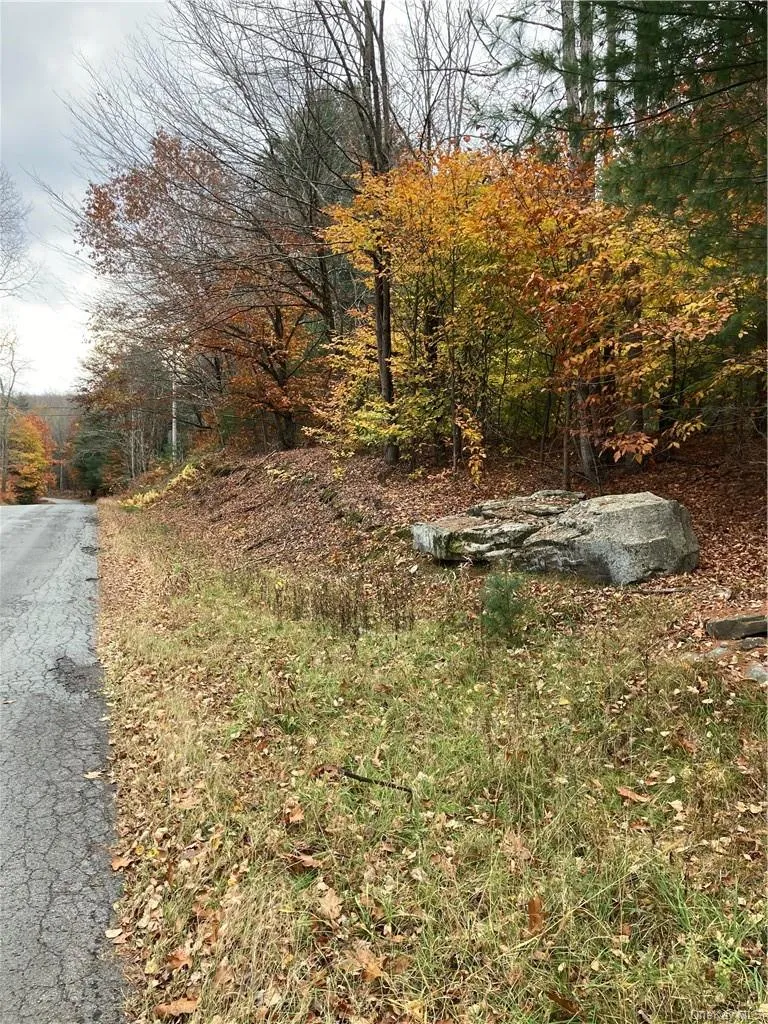 140 Plank Road Mongaup Valley, NY 12762