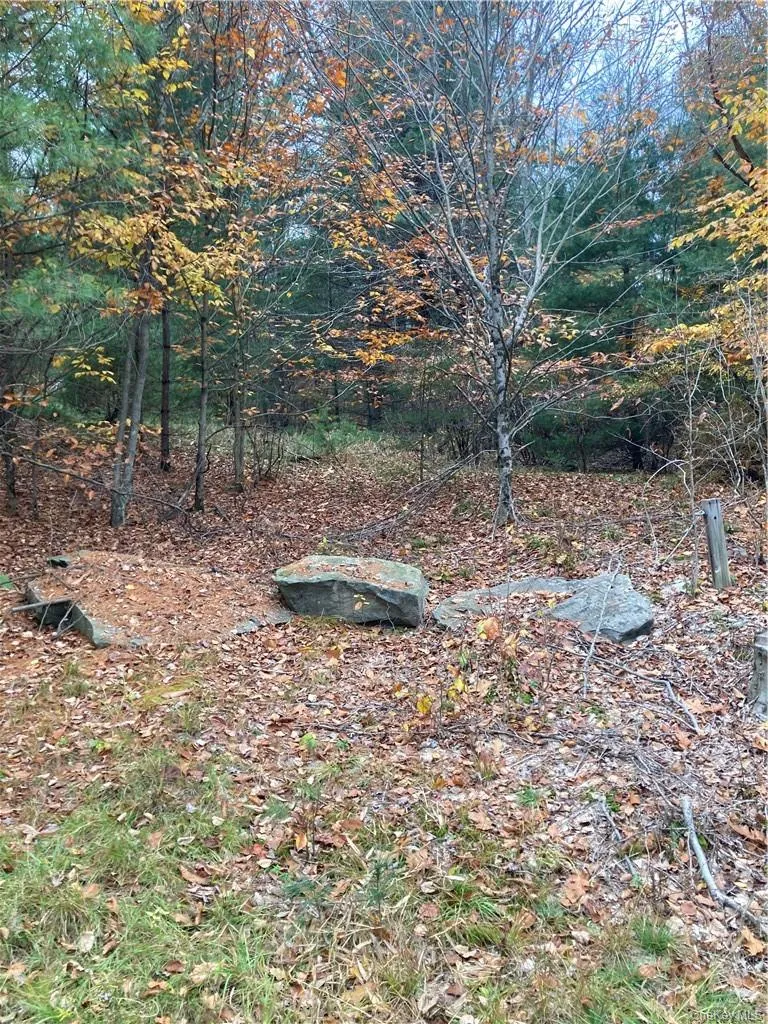140 Plank Road Mongaup Valley, NY 12762