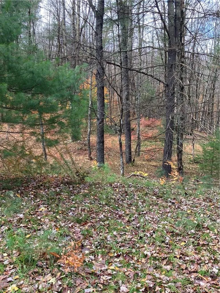 140 Plank Road Mongaup Valley, NY 12762