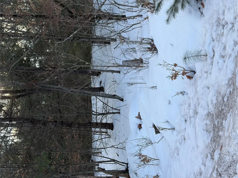 140 Plank Road Mongaup Valley, NY 12762