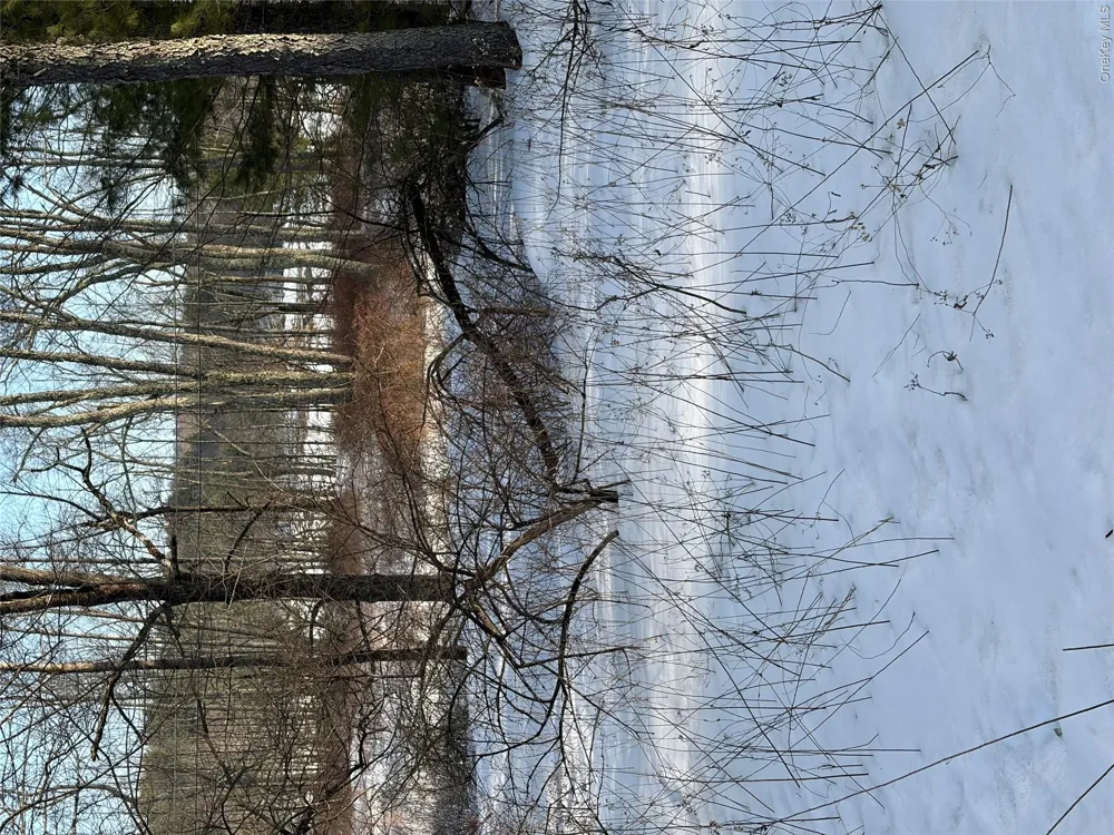 140 Plank Road Mongaup Valley, NY 12762
