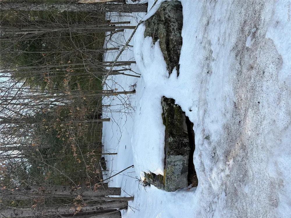 140 Plank Road Mongaup Valley, NY 12762