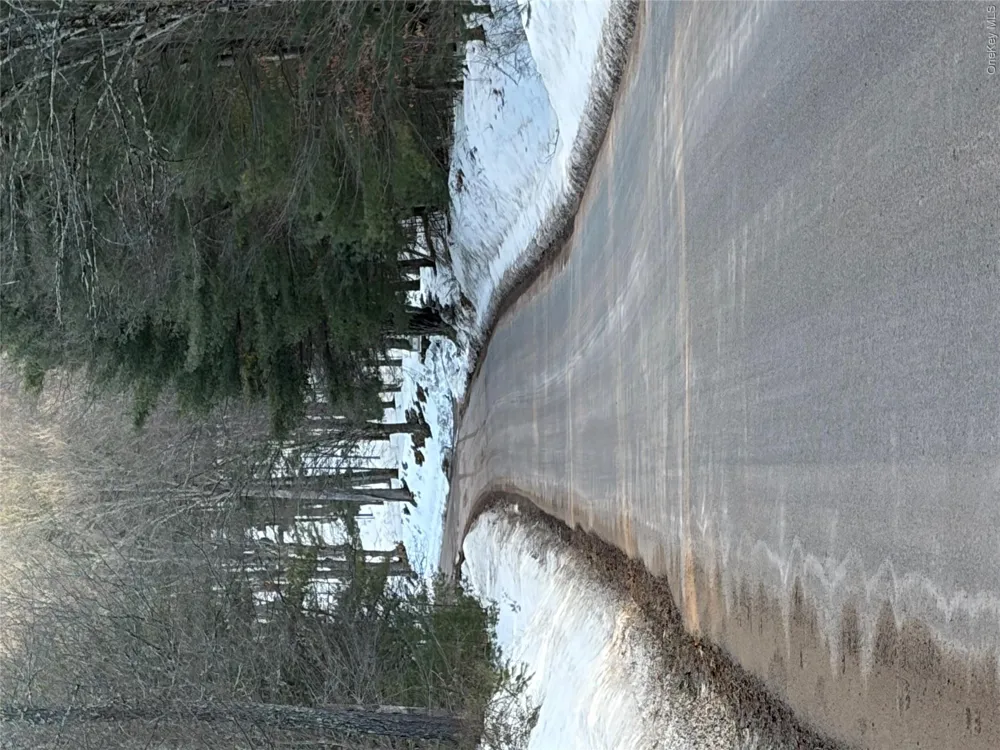 140 Plank Road Mongaup Valley, NY 12762
