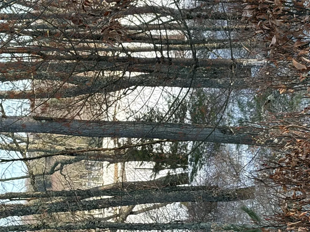 140 Plank Road Mongaup Valley, NY 12762