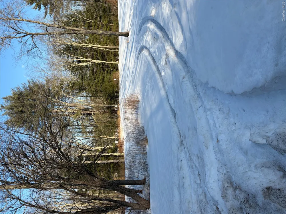 140 Plank Road Mongaup Valley, NY 12762