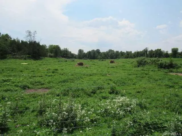 COUNTY ROAD 19 Germantown, NY 12523