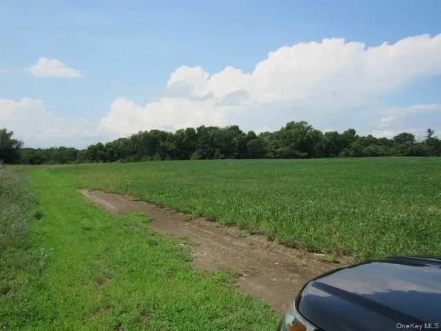 COUNTY ROAD 19 Germantown, NY 12523