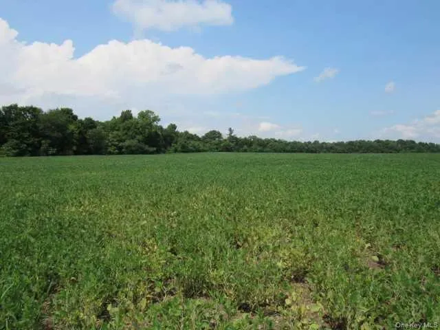 COUNTY ROAD 19 Germantown, NY 12523