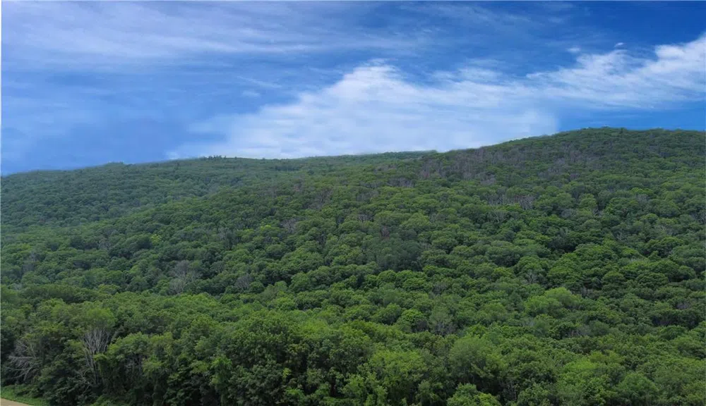CASCADE MOUNTAIN ROAD Amenia, NY 12501
