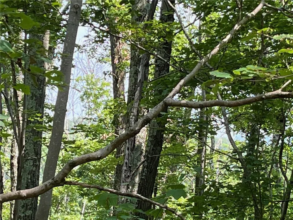 CASCADE MOUNTAIN ROAD Amenia, NY 12501