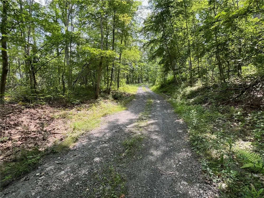 CASCADE MOUNTAIN ROAD Amenia, NY 12501
