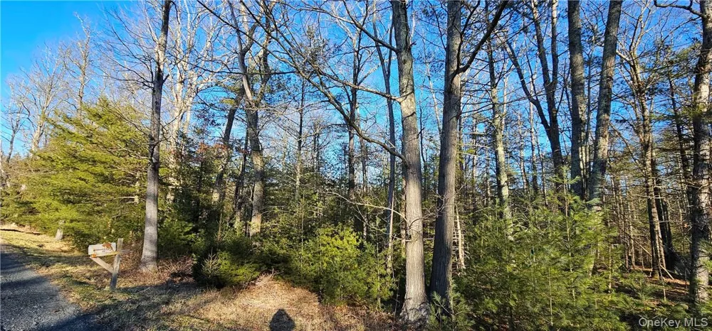 Lot 57.1 Yulan-Barryville Road Barryville, NY 12719