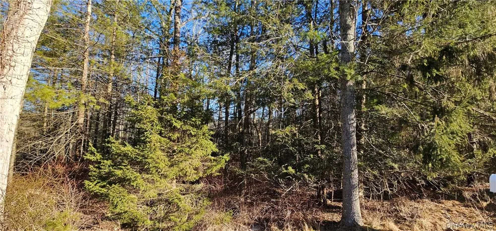 Lot 57.1 Yulan-Barryville Road Barryville, NY 12719