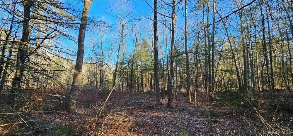 Lot 57.1 Yulan-Barryville Road Barryville, NY 12719
