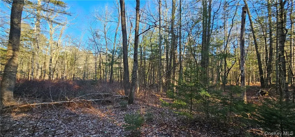 Lot 57.1 Yulan-Barryville Road Barryville, NY 12719