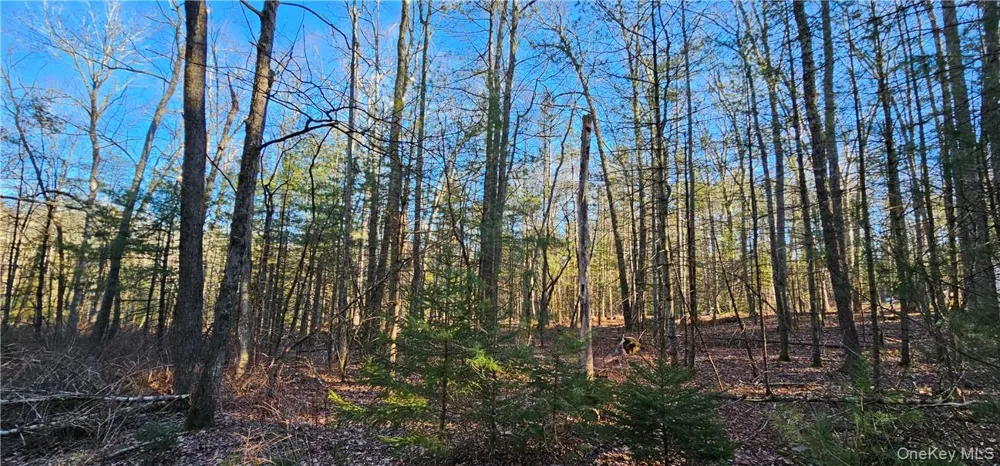 Lot 57.1 Yulan-Barryville Road Barryville, NY 12719