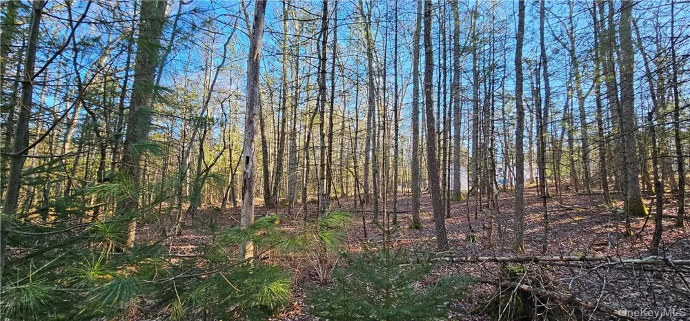 Lot 57.1 Yulan-Barryville Road Barryville, NY 12719