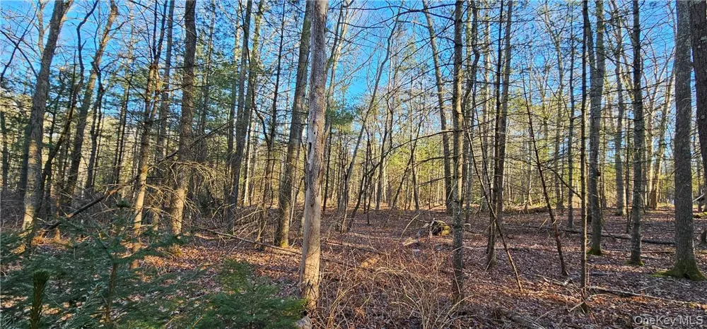 Lot 57.1 Yulan-Barryville Road Barryville, NY 12719
