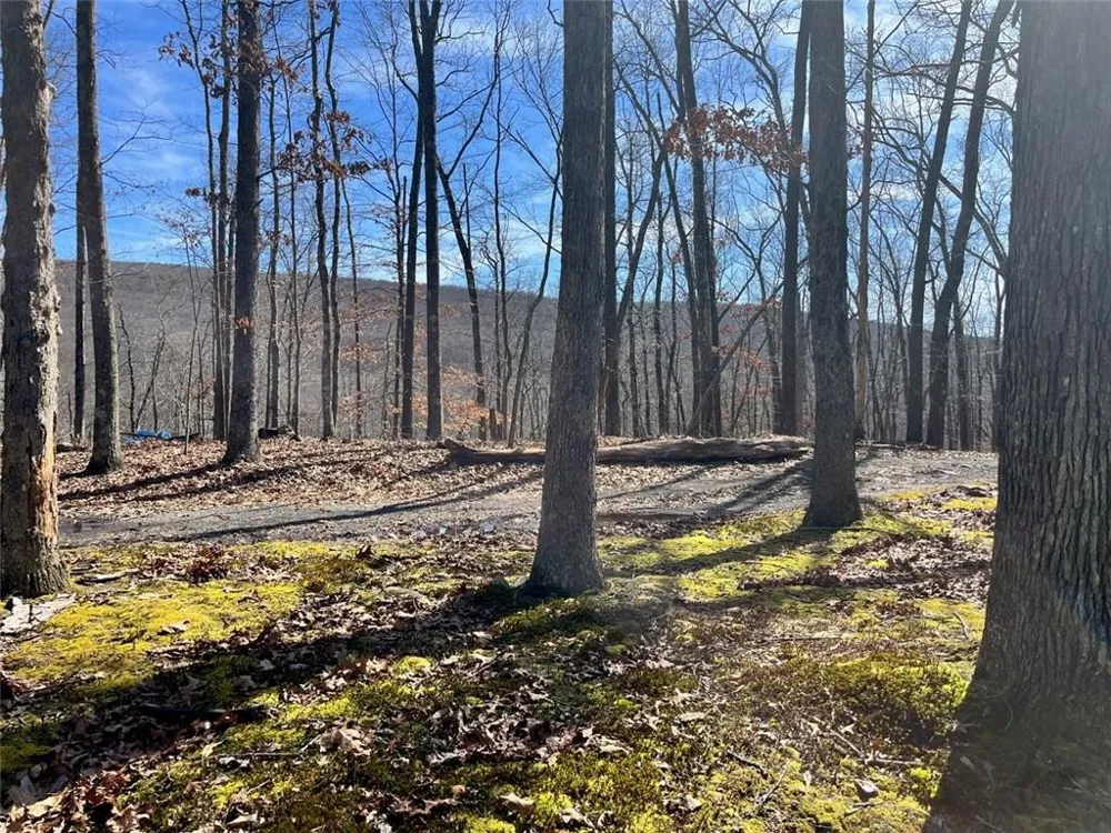 Greenville Turnpike Port Jervis, NY 12771