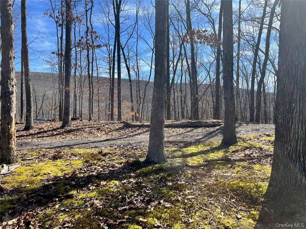 2215 Greenville Turnpike Port Jervis, NY 12771