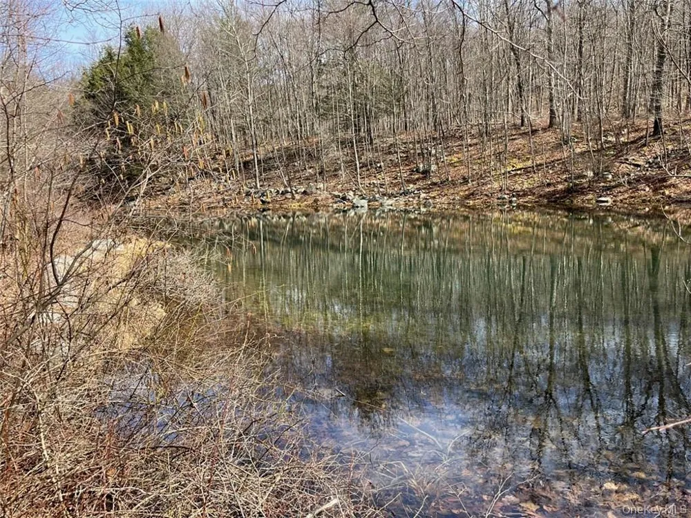 2215 Greenville Turnpike Port Jervis, NY 12771