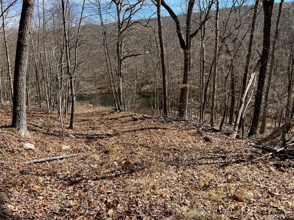 2215 Greenville Turnpike Port Jervis, NY 12771