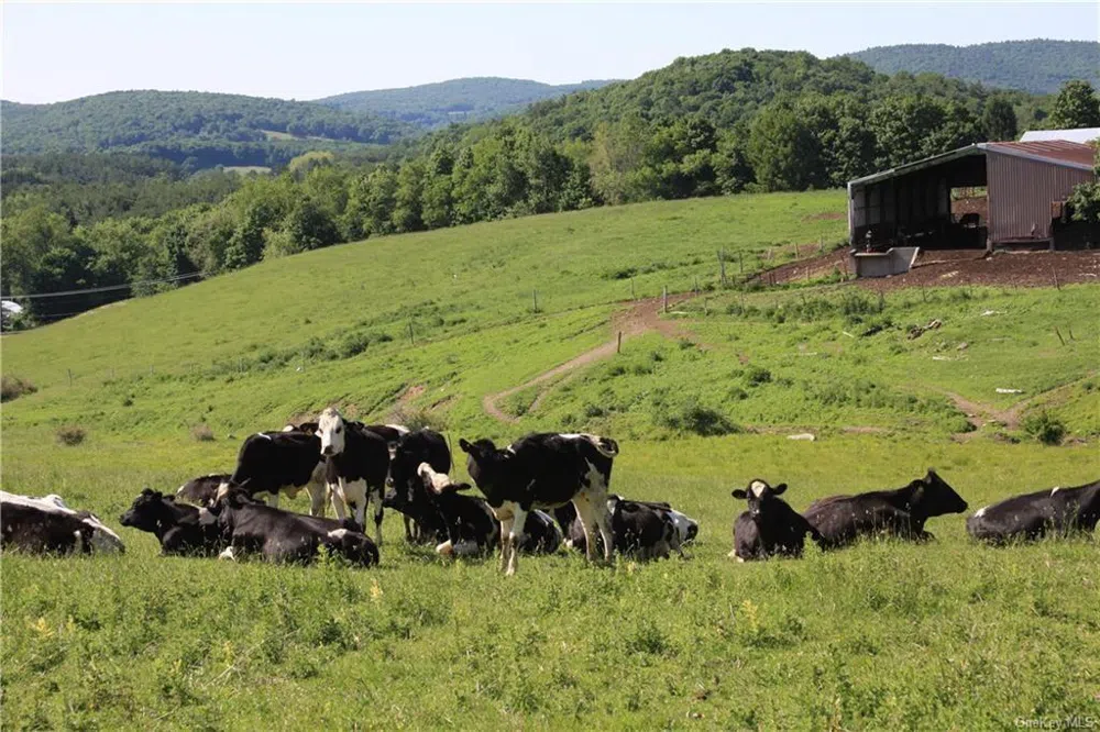 Yonderview Road Hillsdale, NY 12529
