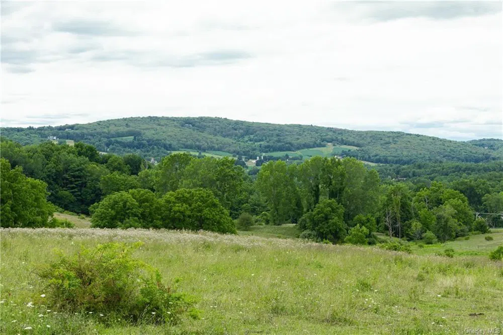 Yonderview Road Hillsdale, NY 12529