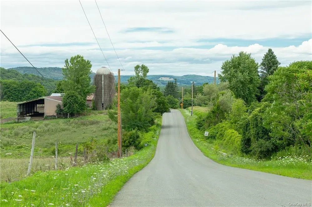 Yonderview Road Hillsdale, NY 12529