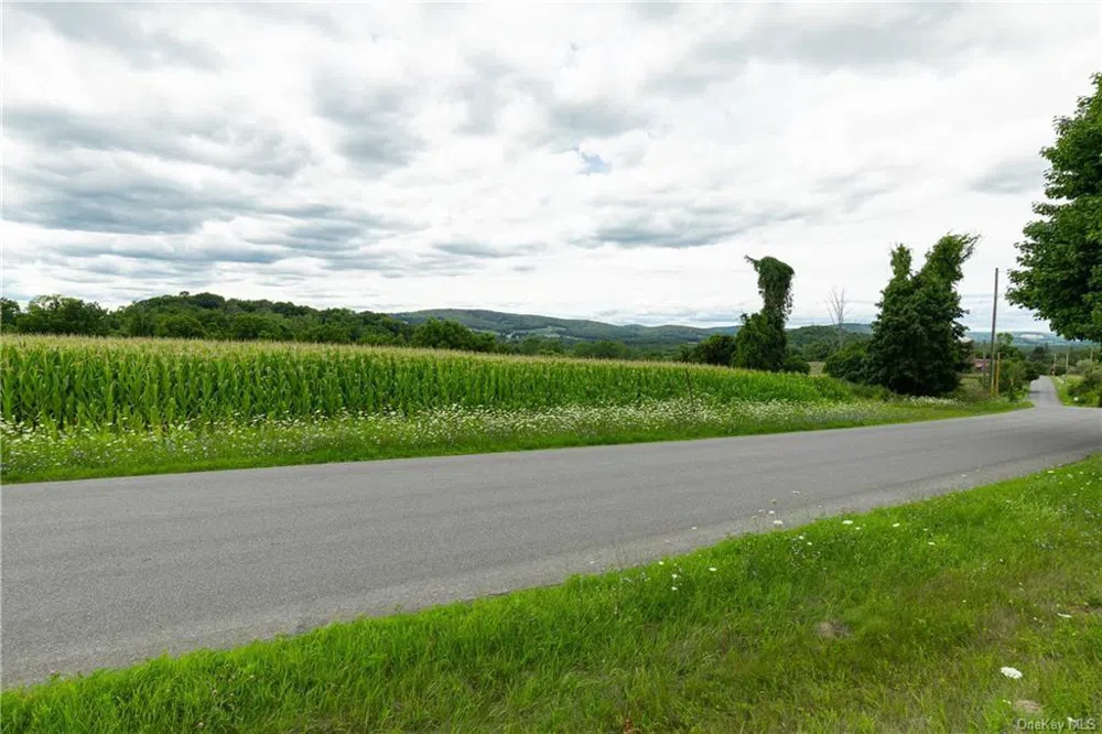 Yonderview Road Hillsdale, NY 12529