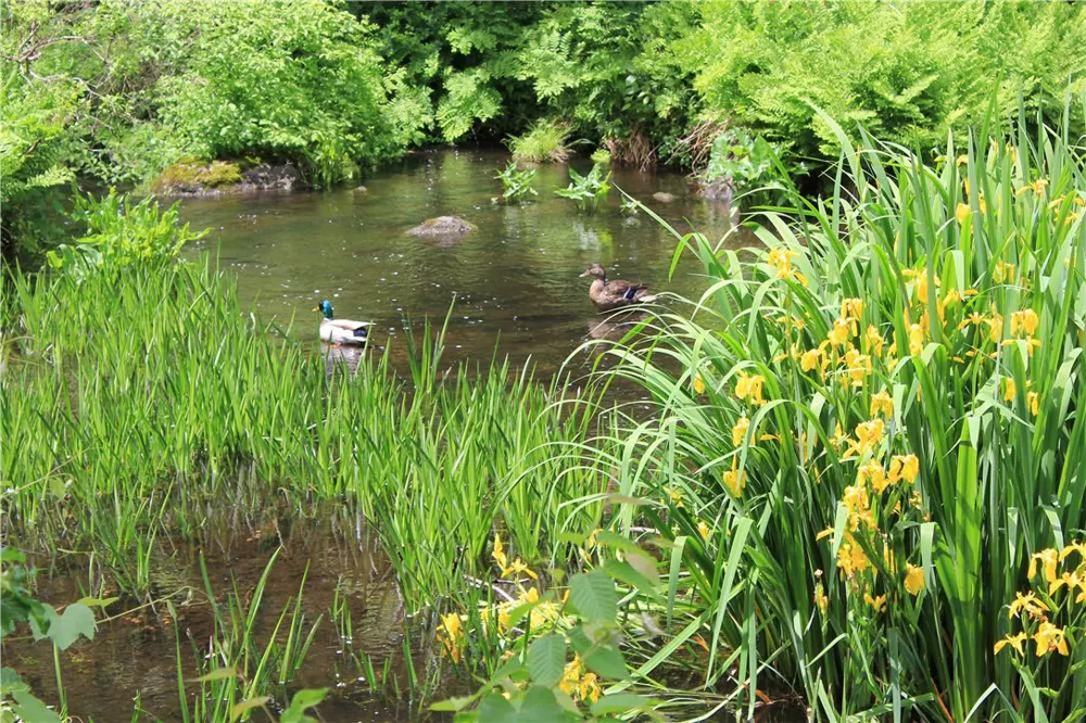 Rolling Meadow Lane Pound Ridge, NY 10576