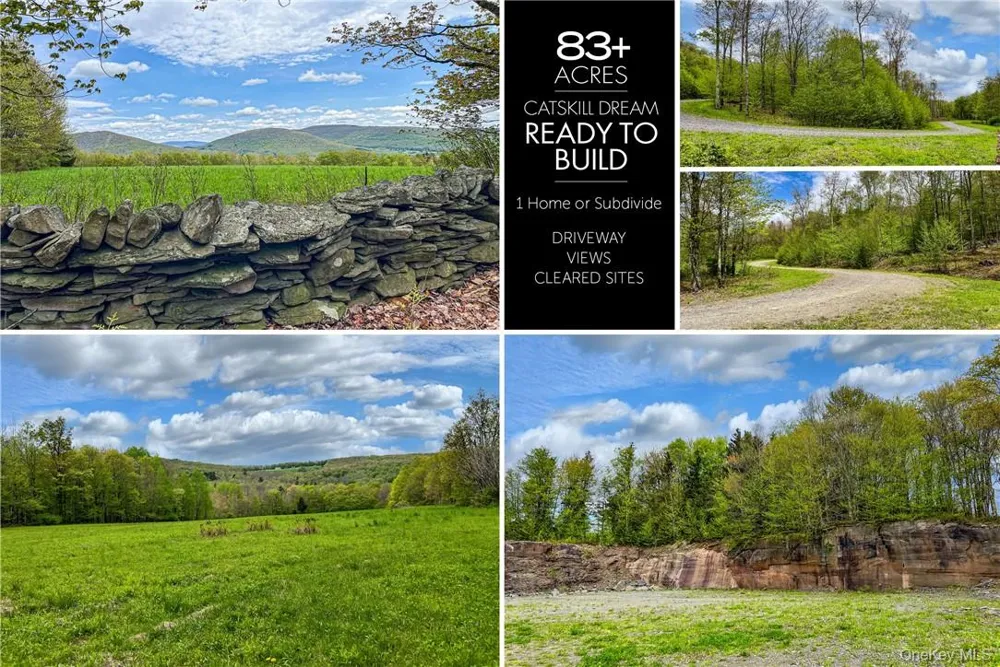 0 Rt-28 Andes, NY 13731