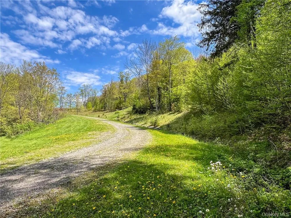 0 Rt-28 Andes, NY 13731