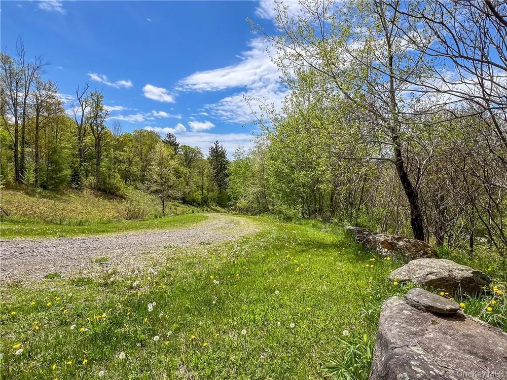 0 Rt-28 Andes, NY 13731