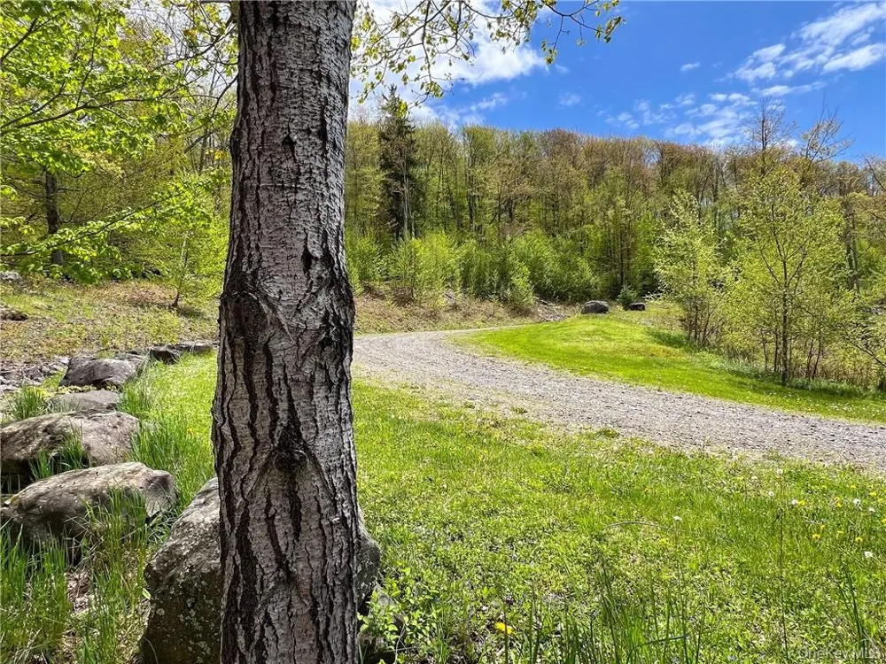 0 Rt-28 Andes, NY 13731