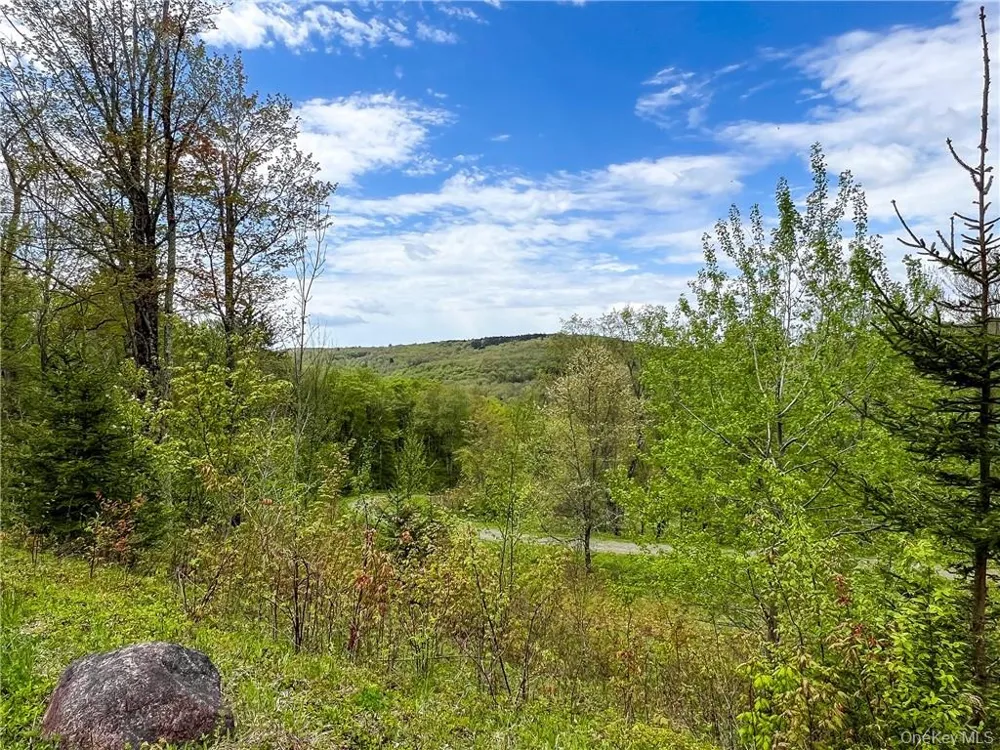 0 Rt-28 Andes, NY 13731