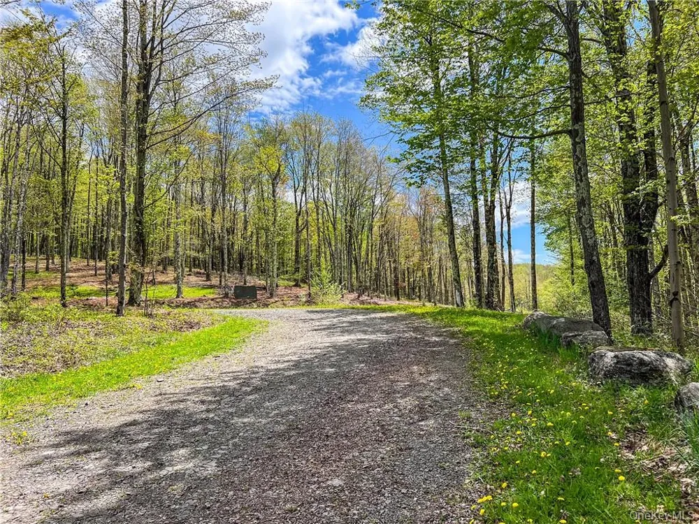 0 Rt-28 Andes, NY 13731