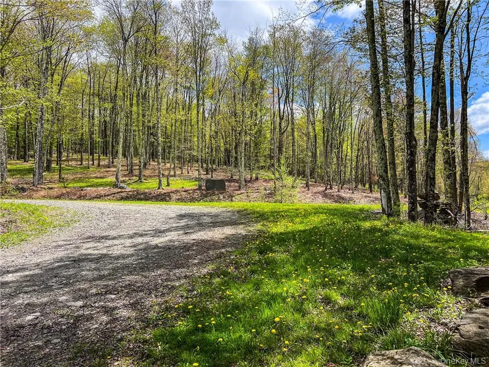 0 Rt-28 Andes, NY 13731