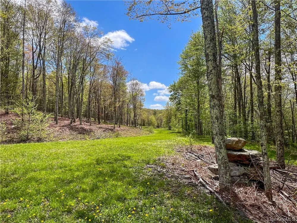 0 Rt-28 Andes, NY 13731