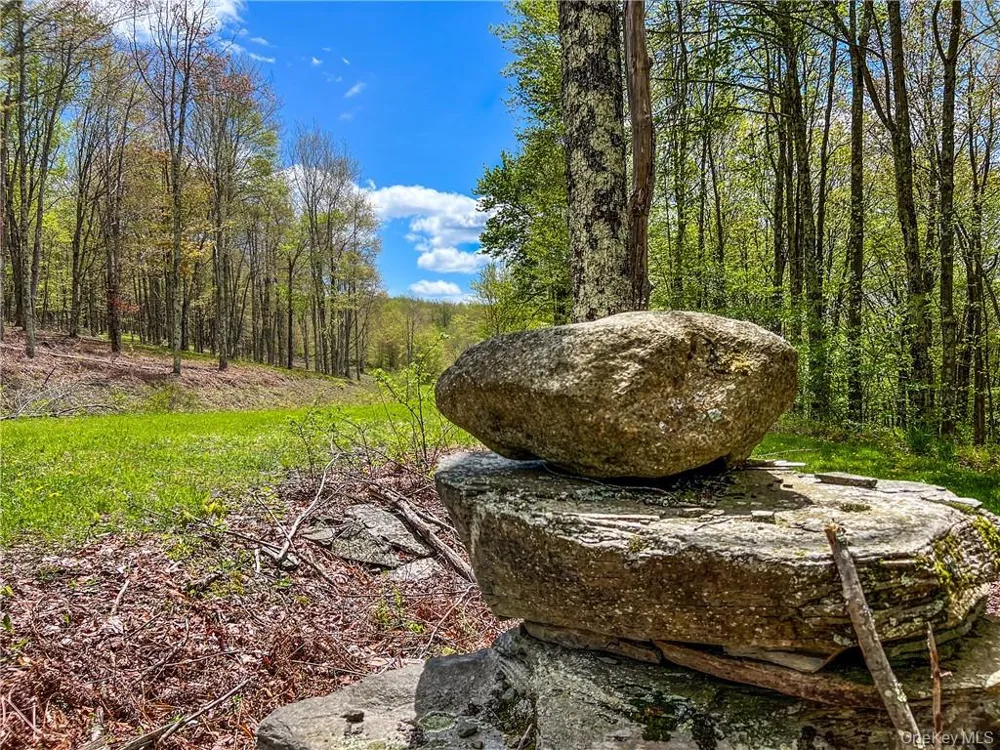 0 Rt-28 Andes, NY 13731
