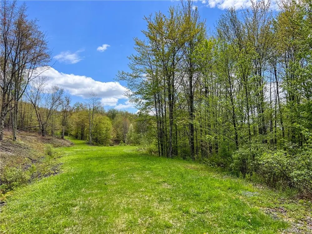 0 Rt-28 Andes, NY 13731