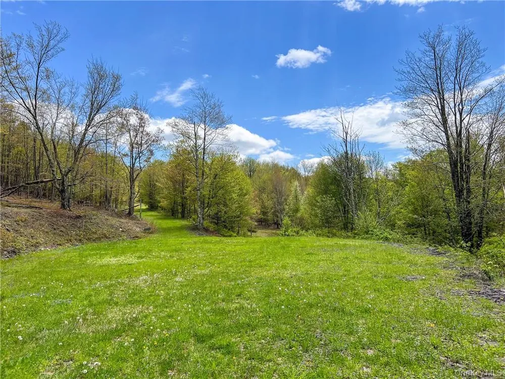 0 Rt-28 Andes, NY 13731