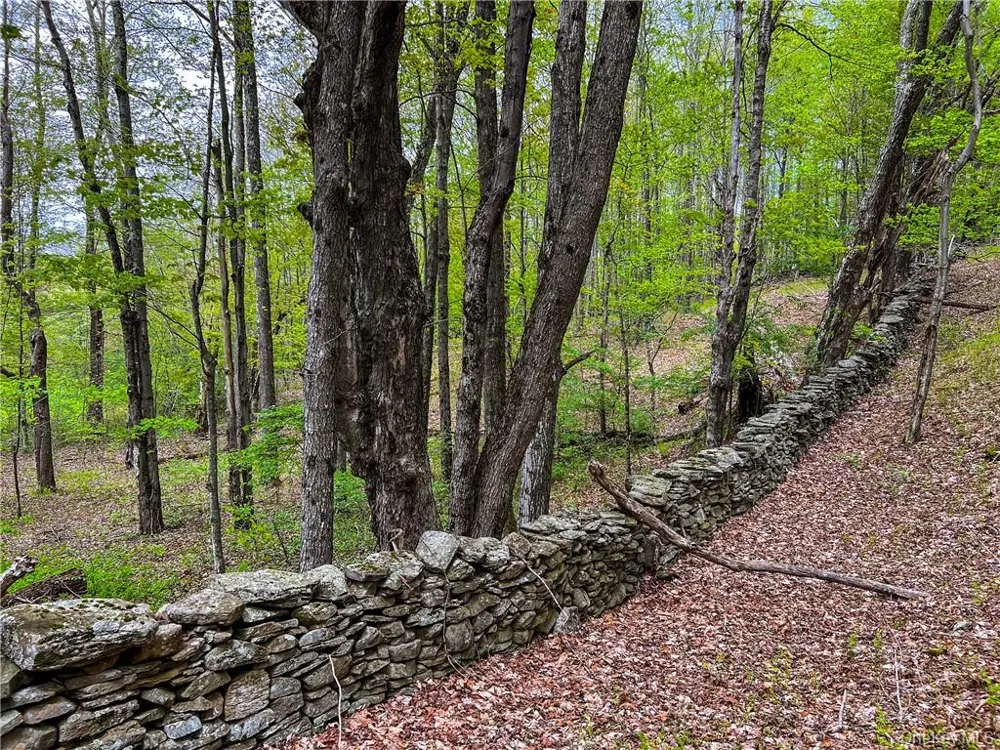 0 Rt-28 Andes, NY 13731