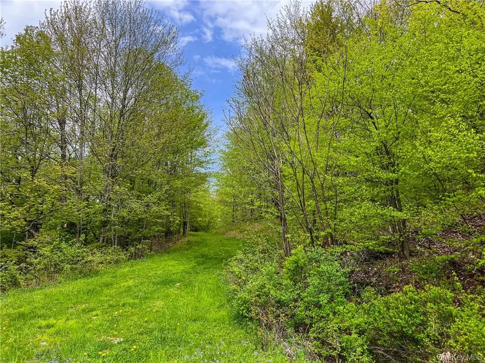 0 Rt-28 Andes, NY 13731