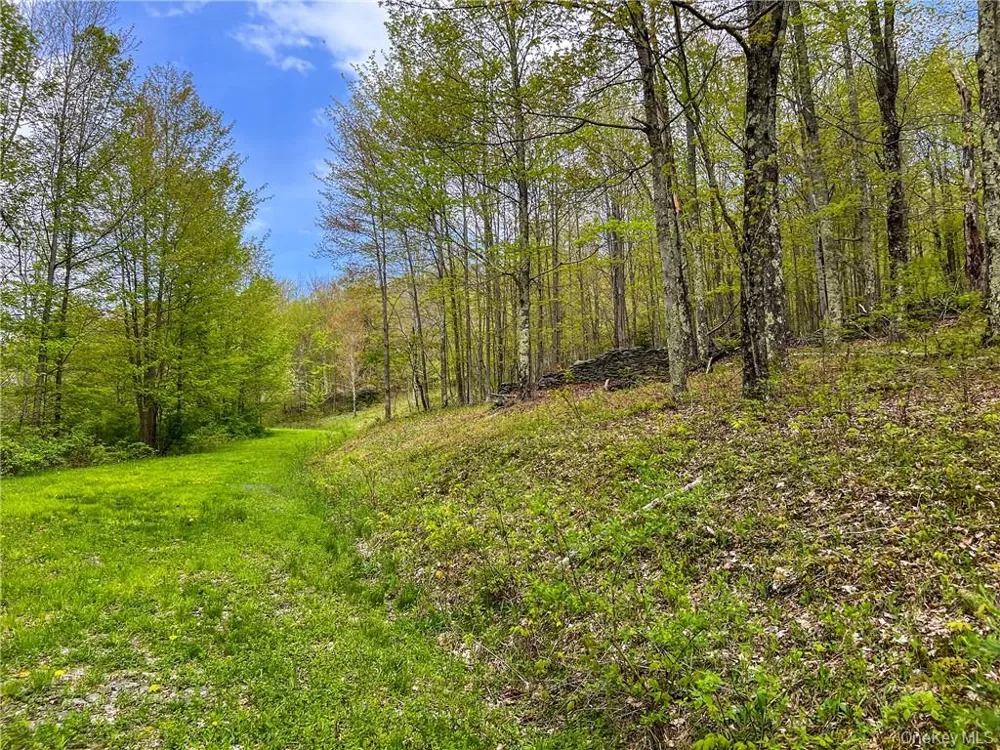 0 Rt-28 Andes, NY 13731